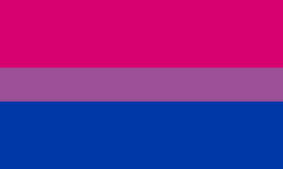 A flag with pink, violet, and blue stripes.