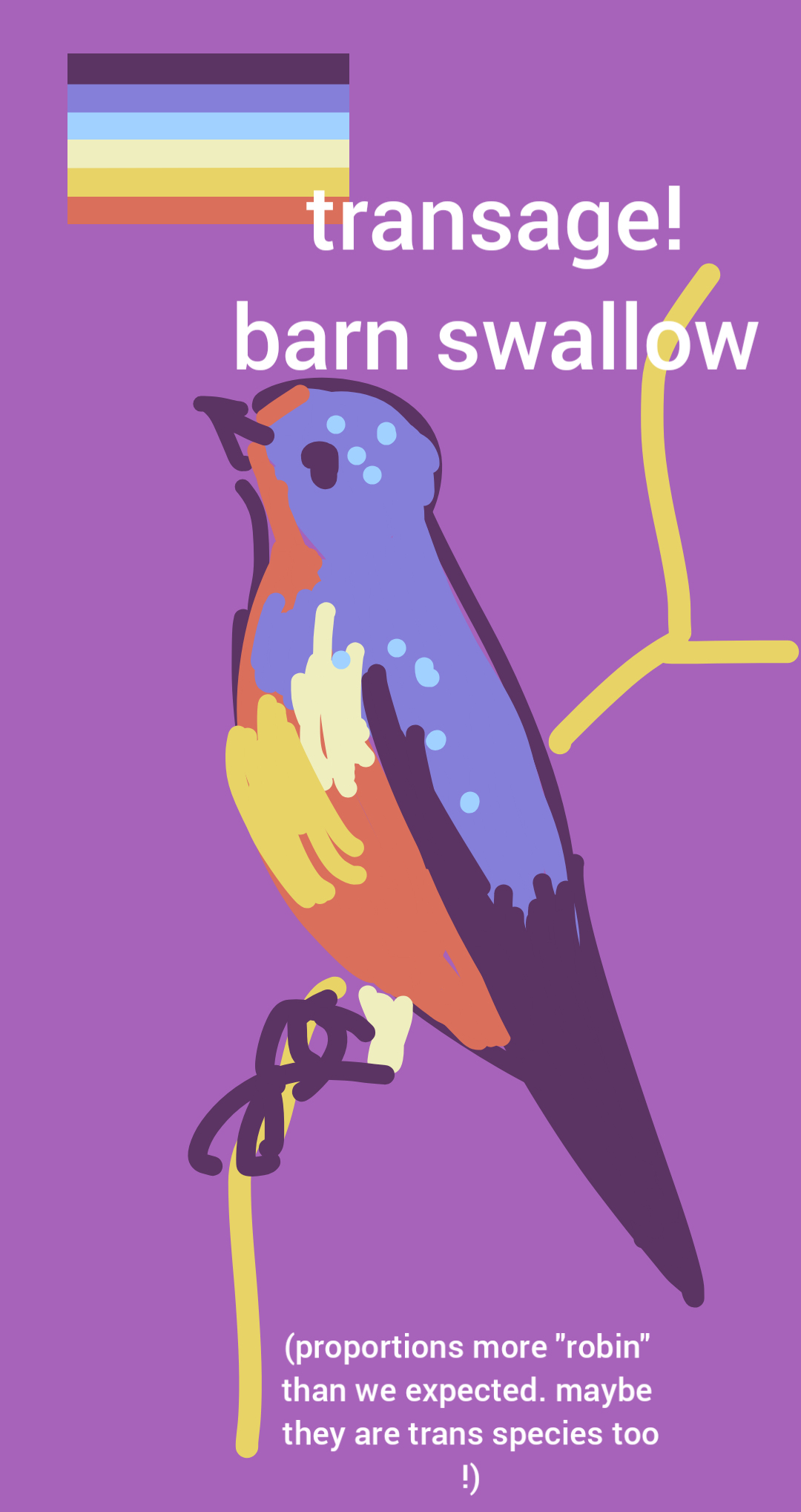 colored sketch of barn swallow color-picked from OtY pride flag; caption "proportions are more 'robin' than we expected. maybe they are trans species too!")