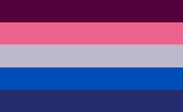 A flag with dark purple, hot pink, teal, blue, and purple stripes.